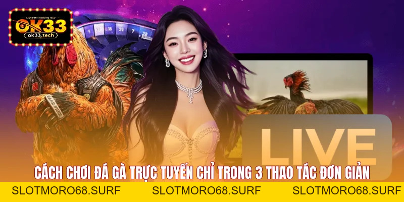 Cách Chơi Đá Gà Trực Tuyến - Chuẩn Xác Trong 3 Thao Tác - Slotmoro68