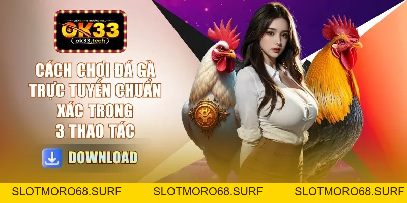 Cách Chơi Đá Gà Trực Tuyến - Chuẩn Xác Trong 3 Thao Tác - Slotmoro68