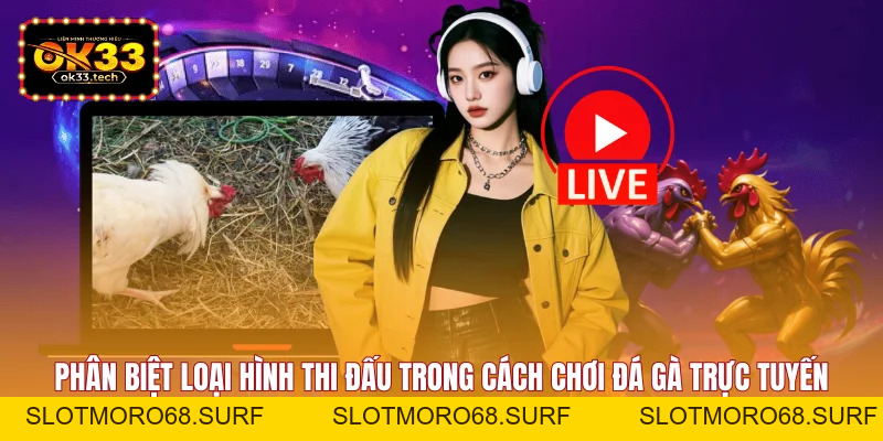 Cách Chơi Đá Gà Trực Tuyến - Chuẩn Xác Trong 3 Thao Tác - Slotmoro68