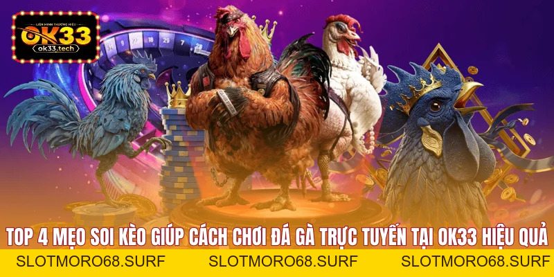 Cách Chơi Đá Gà Trực Tuyến - Chuẩn Xác Trong 3 Thao Tác - Slotmoro68